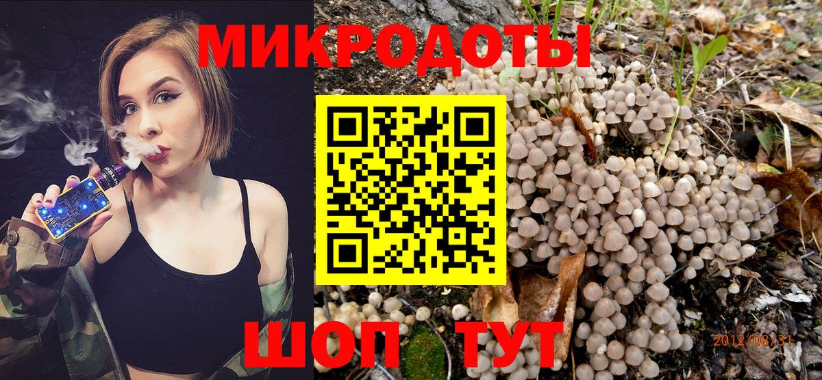 Псилоцибиновые грибы прущие грибы Элиста
